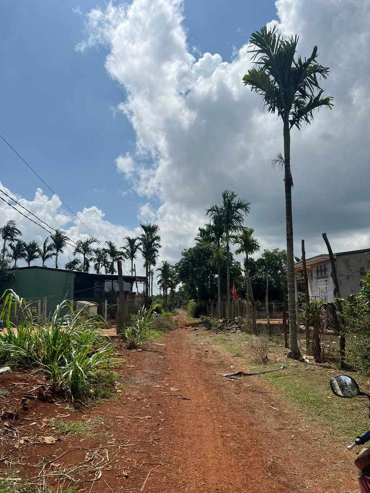 Đất nền liền kề Cư Bao, Buôn Hồ, Đắk Lắk 150m² chỉ 275 triệu - Sổ đỏ chính chủ!