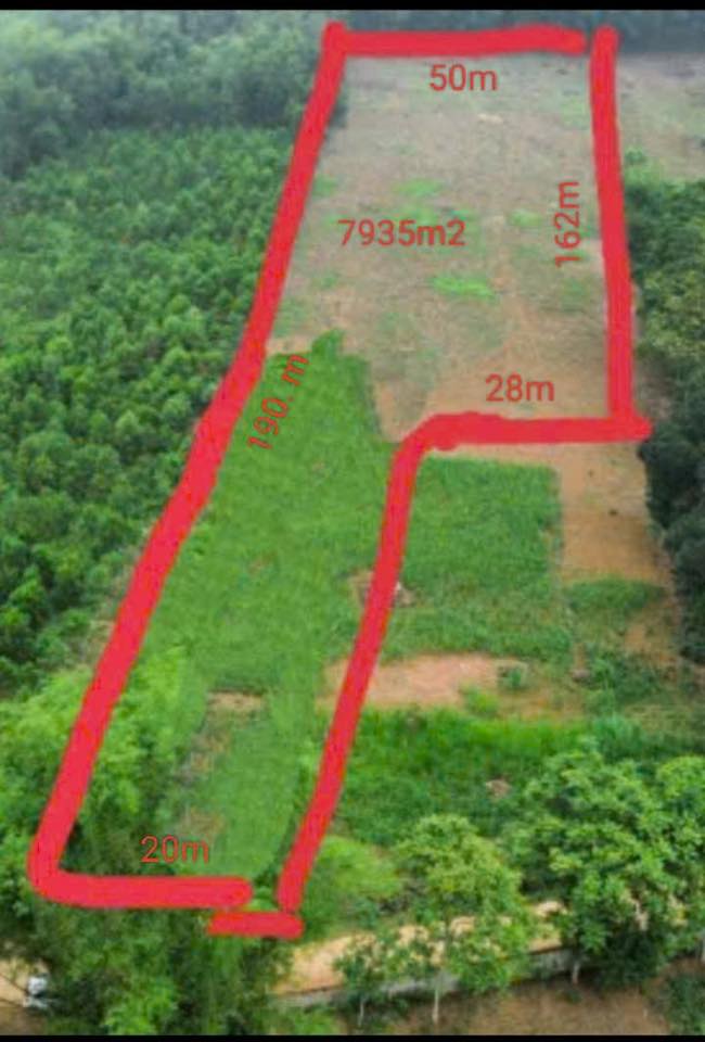 Đất nền Cẩm Long, Cẩm Thủy 8000m² giá 1.6 tỷ - Cơ hội đầu tư tuyệt vời!