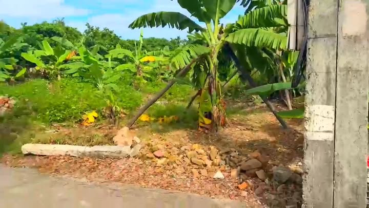 Đất 2 mặt tiền thôn Phấn Sơn, Đồng Sơn 79m² - Giá thỏa thuận hấp dẫn!