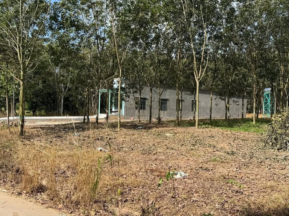 Đất nền Phước Sang, Phú Giáo 125m² - Giá tốt, thuận tiện di chuyển!