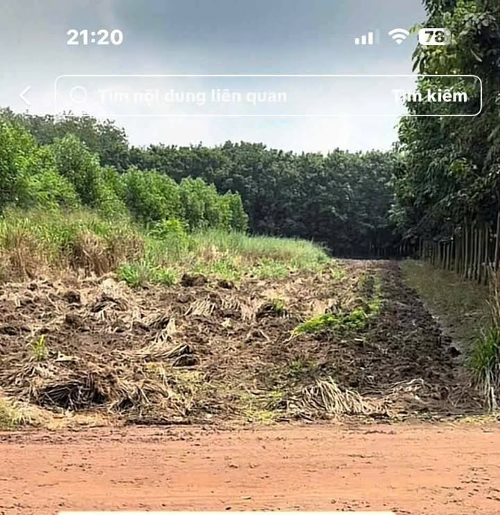 Đất Vĩnh Hòa, Phú Giáo 1160m² giá 700 triệu - Cơ hội đầu tư hiếm có!