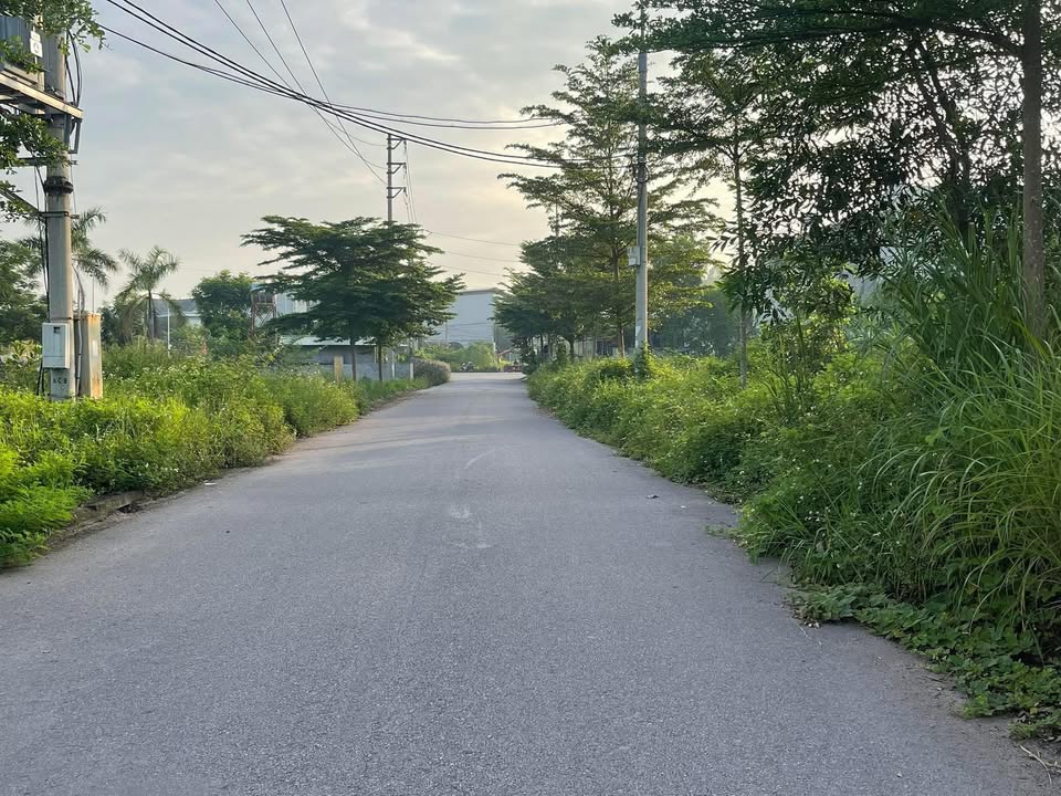 Đất nền Yên Mỹ Lạng Giang 90m² giá chỉ 12xx - Sổ đỏ chính chủ!