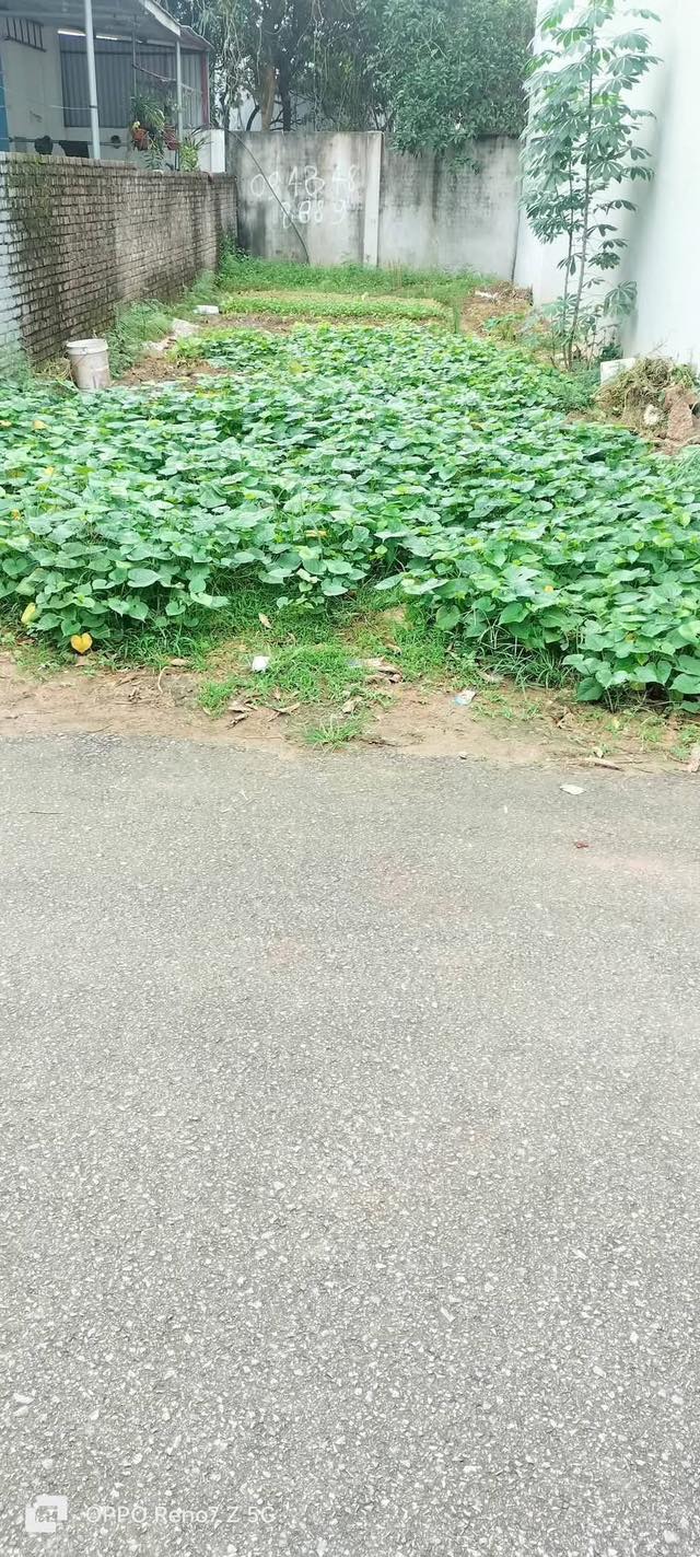 Đất thổ cư 95m² phường Tân Tiến - Vị trí đắc địa gần Khu đô thị Đại Hoàng Sơn