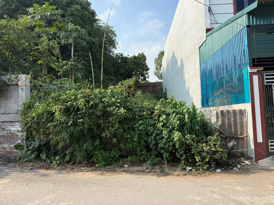 Đất nền khu phố 4, phường Âu Cơ, 150m² - Tiềm năng đầu tư lớn với phong thủy tốt