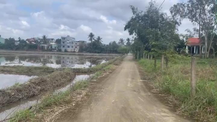 Đất nền Hòa Phong, Đà Nẵng 950m² - Mặt tiền đắc địa, giá thỏa thuận!