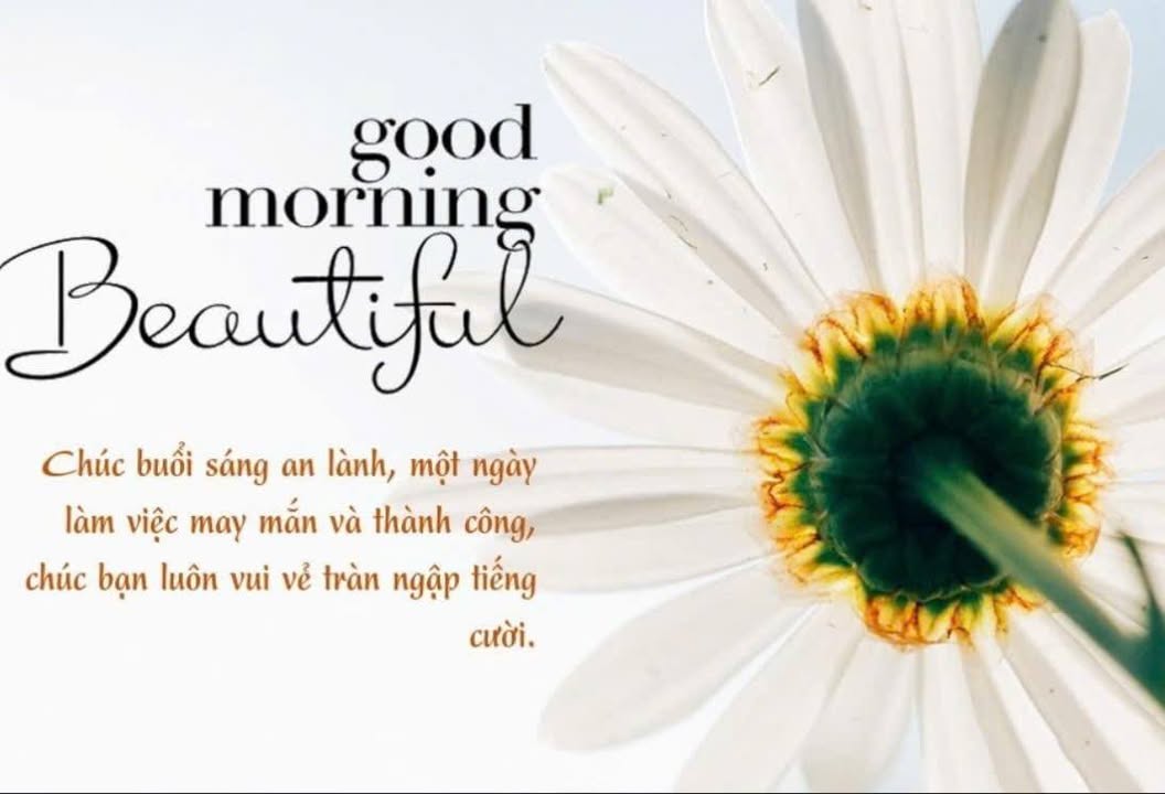 Đất nền khu vực Hố Nai, Biên Hòa, 250m² - Sổ hồng chính chủ, giá chỉ 5 tỷ!