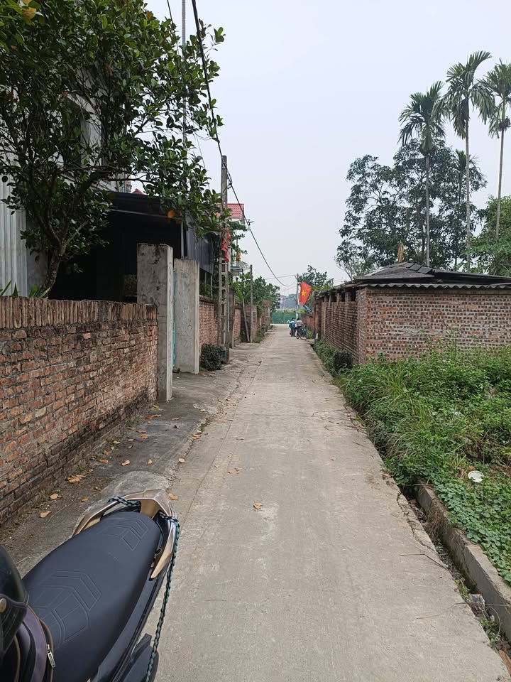 Đất Nền 50m² Ninh Xá - Thuận Thành - Bắc Ninh chỉ 1.5 tỷ - Đầu tư sinh lời ngay!