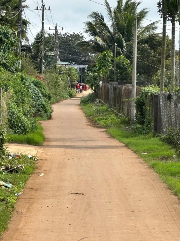 Đất nền Tây Hà 2, Cư Bao, Đắk Lắk 252m² giá 754 triệu - Đầu tư sinh lời hấp dẫn!