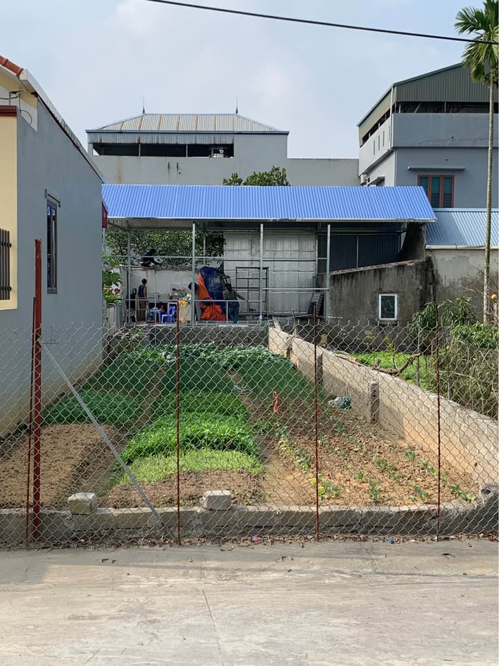 Đất nền thôn Văn Cao, xã Tảo Dương 99m² giá 3 tỷ - View hồ cực đẹp!