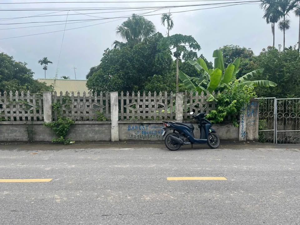 Đất nền đẹp tại phố Hàm Hạ, Đông Sơn 265m² giá 2.5 tỷ - Bán nhanh từng lô!