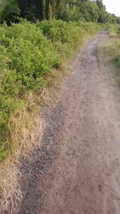 Đất nền Trường Long Hòa 130.000m² giá 9.5 tỷ - Sổ đỏ chính chủ, gần đường điện