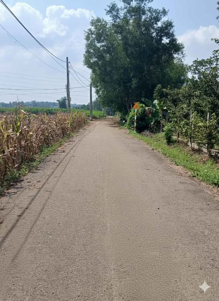 Đất nền Bình Ba – Ngãi Giao 620m² giá 1.25 tỷ - Đầu tư lý tưởng!