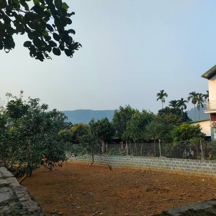 Đất nền Tiến Xuân 300m² giá thỏa thuận - Tiềm năng sinh lời cao!