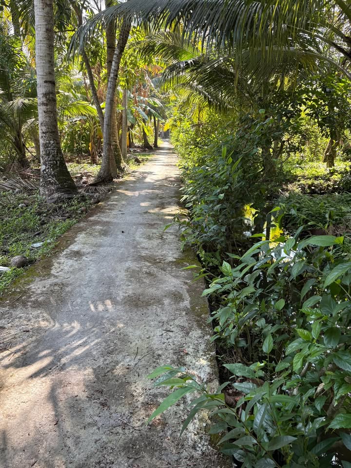 Đất vườn 500m² xã Kim Sơn, Châu Thành, Tiền Giang - Giá chỉ 520 triệu, thương lượng ngay!