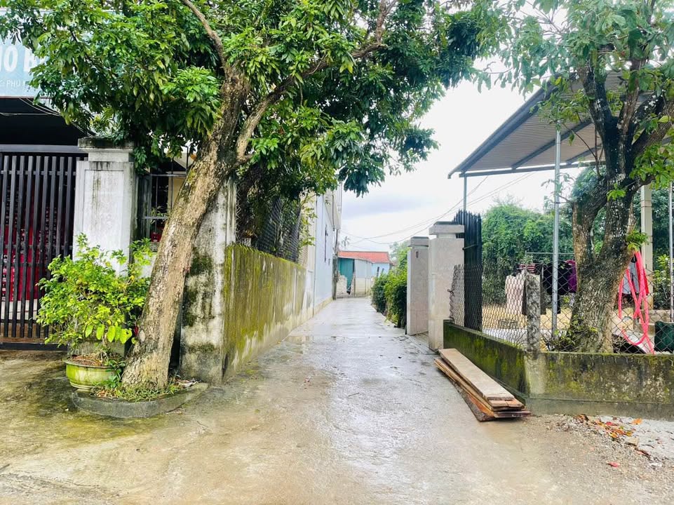 Đất nền Dương Nỗ 117m² giá chỉ 950 triệu - Sổ đỏ chính chủ sẵn sàng giao dịch!