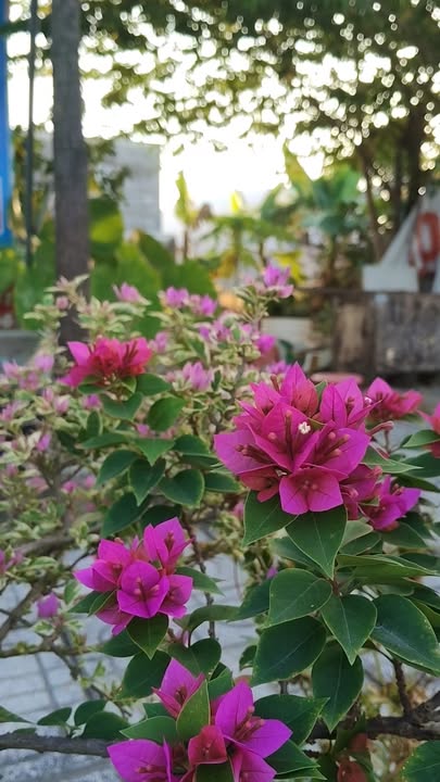 Đất chính chủ Thủ Đức 139m² giá 1.58 tỷ - Đầu tư sinh lời hấp dẫn!