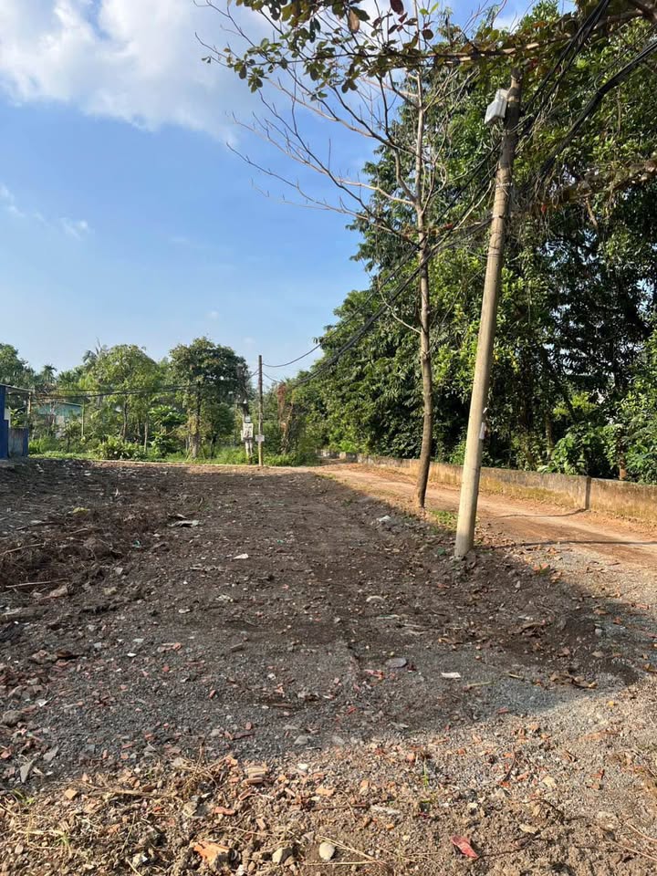 Đất Thạnh Xuân, quận 12, 132.5m² giá 3.8 tỷ - Cơ hội đầu tư hấp dẫn!