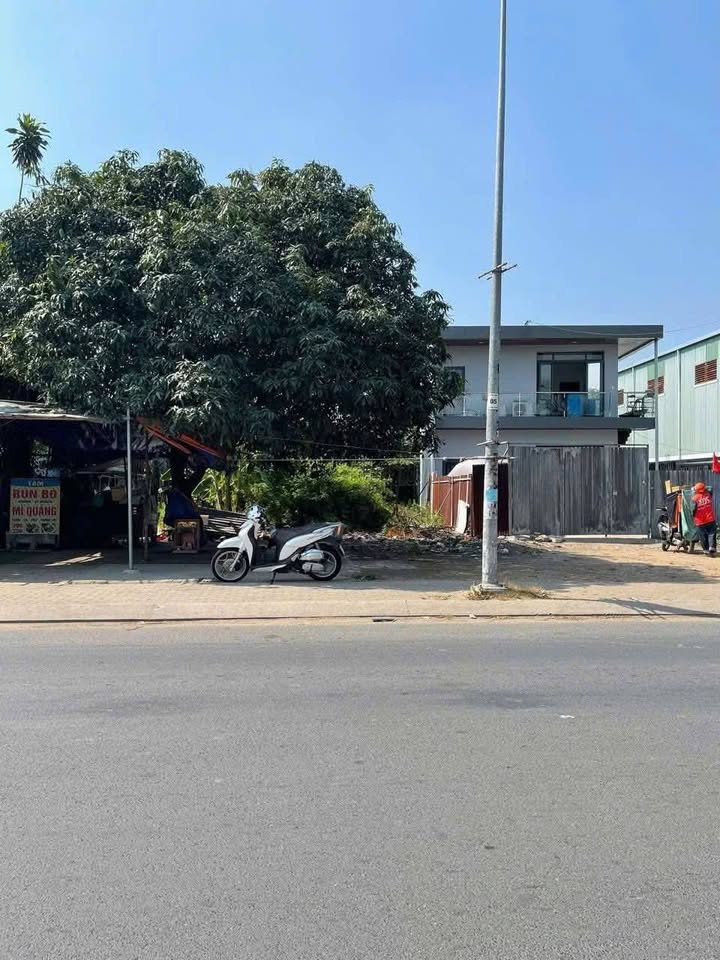 Đất mặt tiền Lại Hùng Cường, Bình Chánh 234m² giá 12.5 tỷ - Cơ hội đầu tư tuyệt vời!