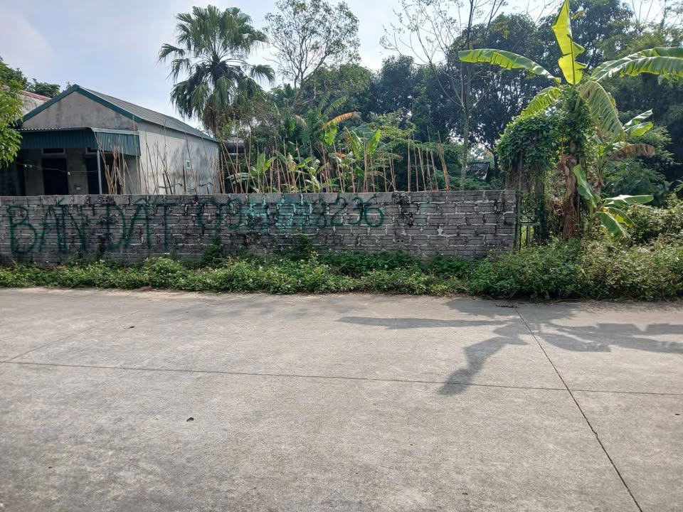 Đất nền Yên Mô 146m² giá đầu tư - Sát khu hành chính mới!