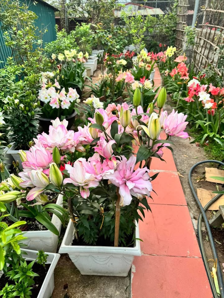 Đất nền đẹp tại Thạnh Đông B, Tân Hiệp, Kiên Giang 5600m² - Mặt tiền sông, giá chỉ 60 triệu/m ngang!