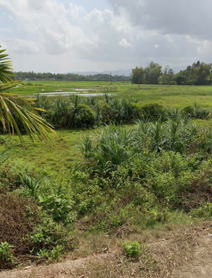 Đất trồng cây 849m² tại Thôn Phước Thuận, Hòa Nhơn - Giá 1 tỷ, đầu tư sinh lời!