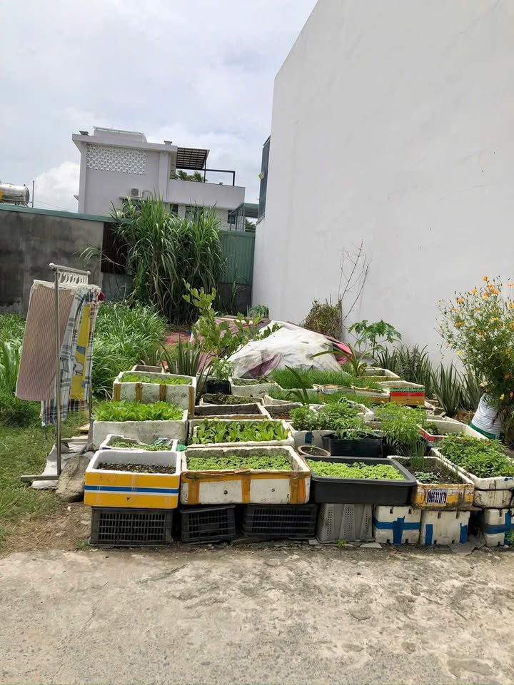 Đất nền Tân Hiệp Hóc Môn 103m² giá 3.6 tỷ - Đầu tư sinh lời ngay!