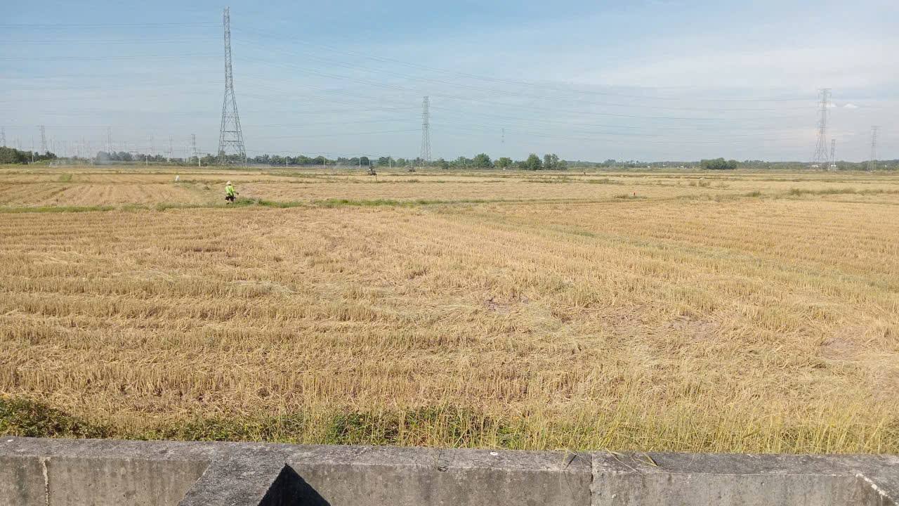 Đất nền 1.490m² tại Trung Lập Hạ, Củ Chi - Giá chỉ 650 triệu, tiềm năng đầu tư lớn!