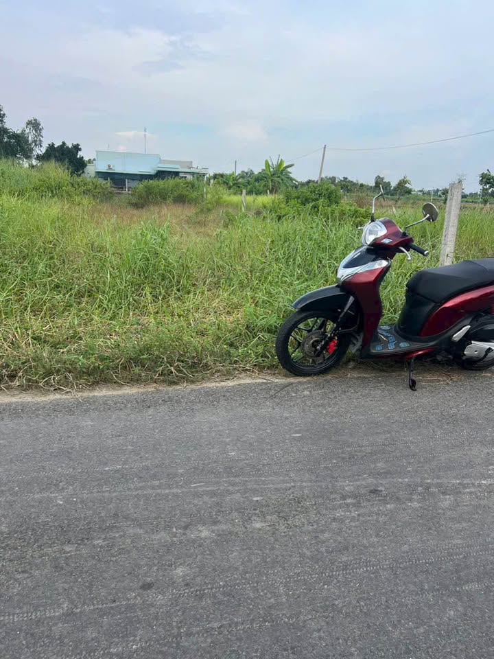 Đất thổ cư Tân Ân, Cần Đước 185m² giá 800 triệu - Cơ hội đầu tư tốt!