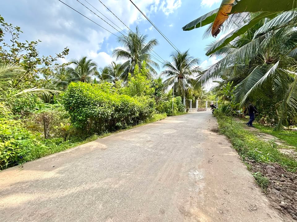 Đất vườn trái cây 2.540m² tại xã Bình Trưng - Châu Thành, Tiền Giang - Giá chỉ 3.175 tỷ!