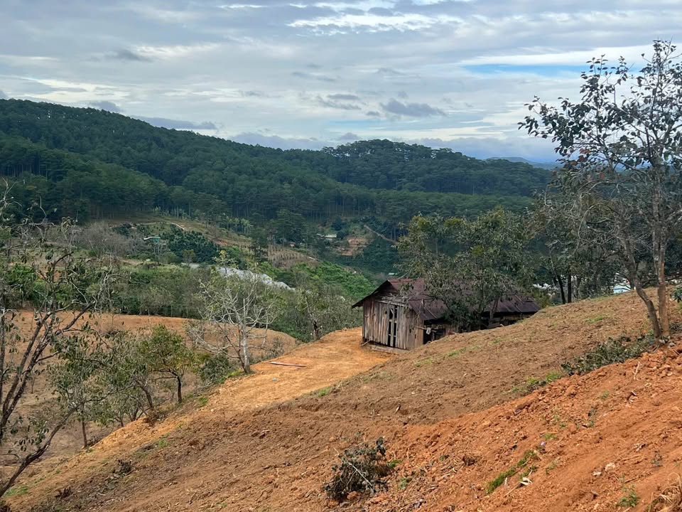 Đất thổ cư Xuân Trường Đà Lạt 340m² giá 4.5 tỷ - Sẵn sàng đầu tư!