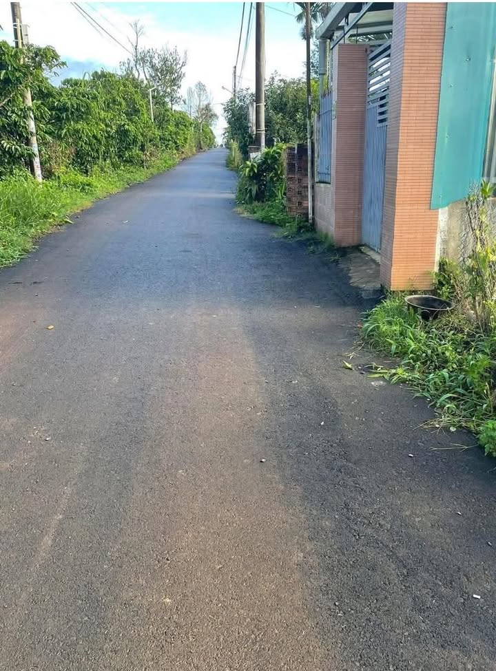 Đất vườn 4 sào đường Trương Định Bảo Lâm 3.2 tỷ - Cơ hội đầu tư vàng!