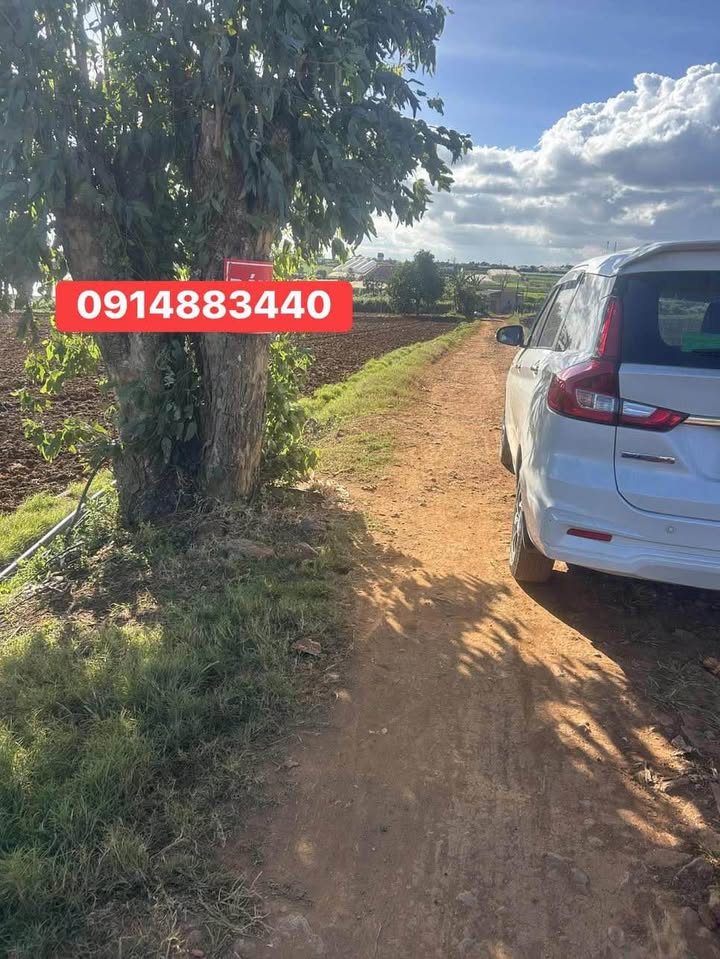 Đất thổ cư 2,8 sào Thạnh Mỹ Đơn Dương giá 3.8 tỷ - Đường hai mặt tiền rộng rãi!