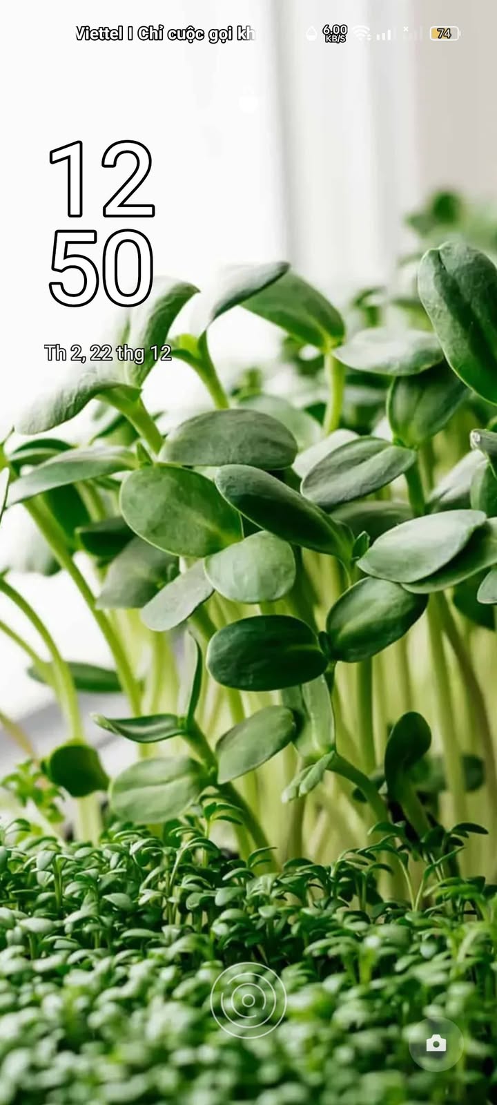 Đất thổ cư 1800m² thôn 13 xã Lộc Thành giá 2 tỷ - Sổ đỏ chính chủ, đường ô tô