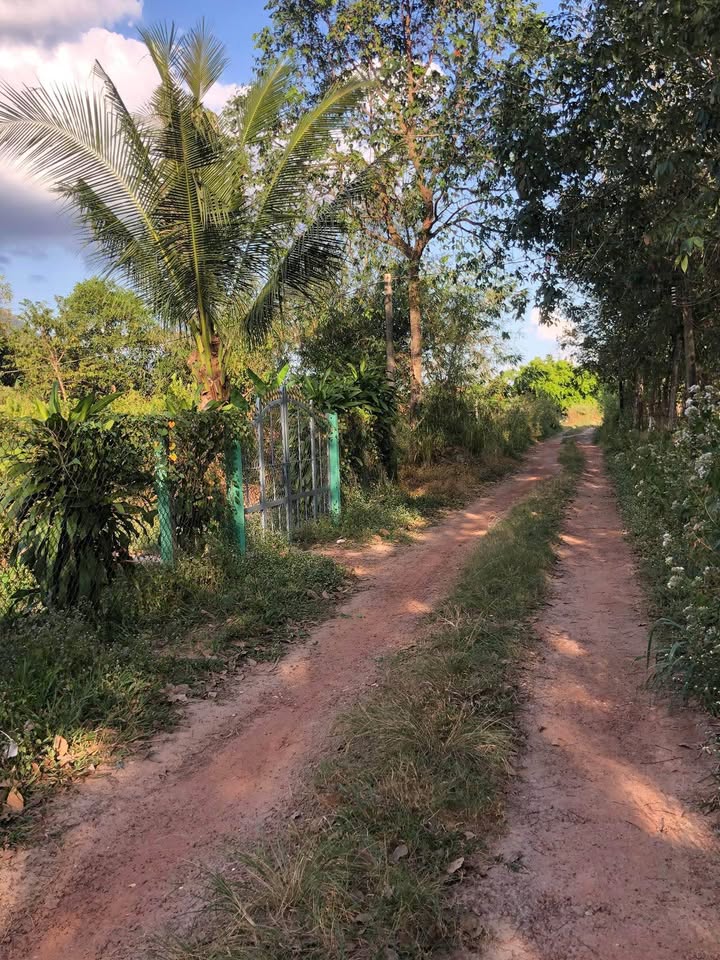 Đất Ninh Thạnh Tây Ninh 1000m² giá 800 triệu - Sổ hồng chính chủ, xây dựng tự do!