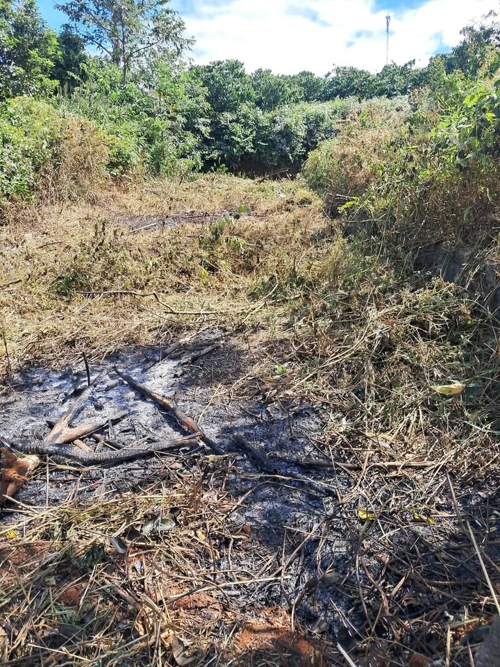 Đất nền Đắk Song 210m² giá 950 triệu - Đầu tư sinh lời ngay!