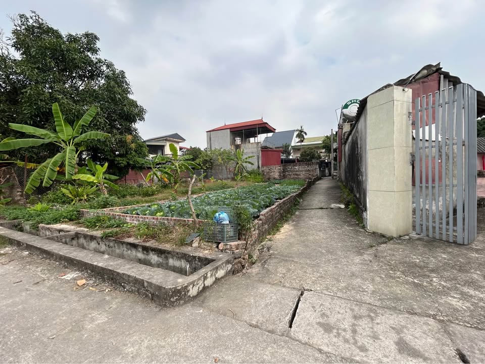 Đất Lô Góc Tân Dân Sóc Sơn 109m² giá 3.279 tỷ - View cánh đồng thoáng mát!