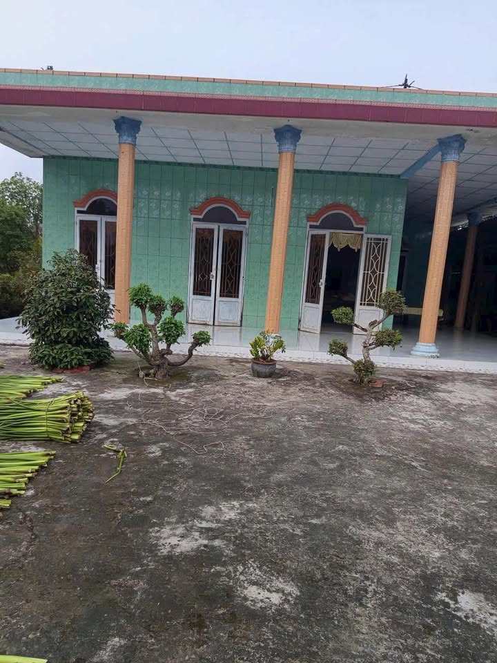 Đất vườn 2587m² Thạnh Phước, Thạnh Hóa giá 1.2 tỷ - Sổ hồng chính chủ!