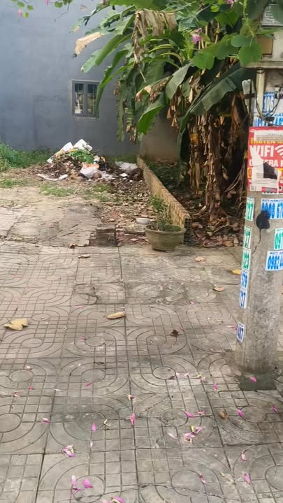 Đất nền Xuyên Á, Đức Hòa, Long An 45m² giá 1.8 tỷ - Sổ đỏ chính chủ, đường thông buôn bán!