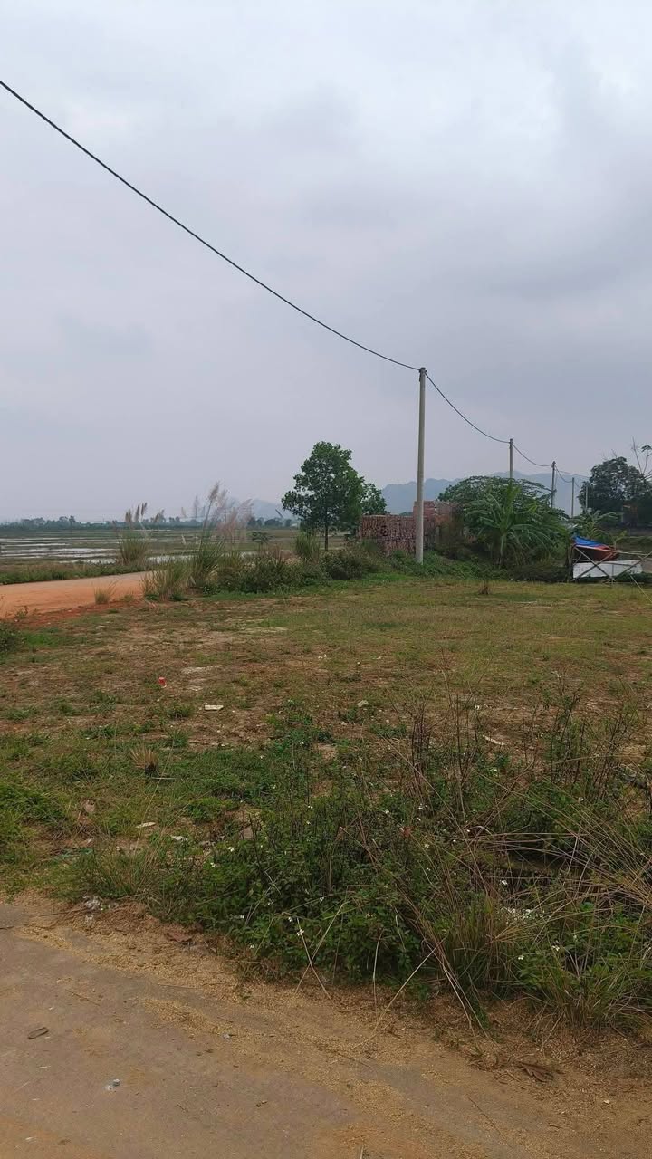 Mặt bằng FrontHouse tại Cây xăng Phú Cường, Triệu Sơn, 176m² - Cơ hội vàng cho nhà hàng, quán ăn, café!