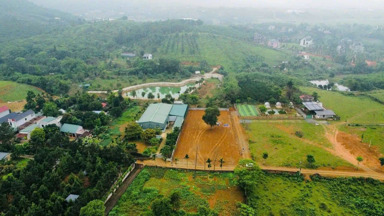 Đất nền 700m² Tiến Xuân, Thạch Thất chỉ 10 triệu/m² - Đầu tư sinh lời hấp dẫn!