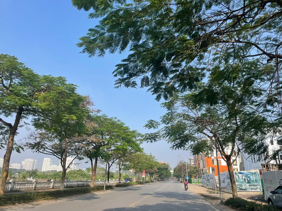 Đất tái định cư Thượng Thanh, Long Biên 74m² - Vỉa hè kinh doanh, mặt tiền 8m!