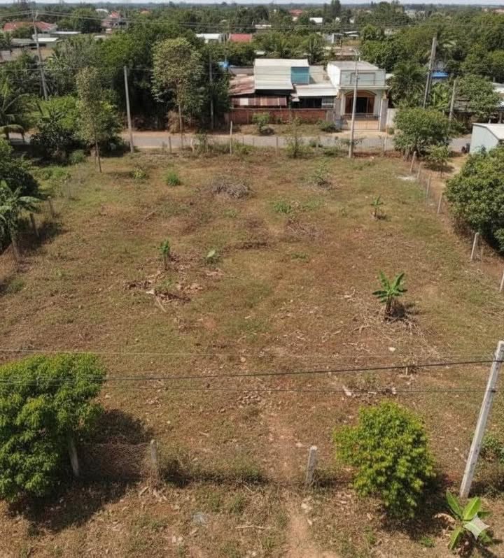 Đất nền Phường Bình Lộc 1000m² giá 1.4 tỷ - Sổ đỏ chính chủ, vị trí thuận tiện!