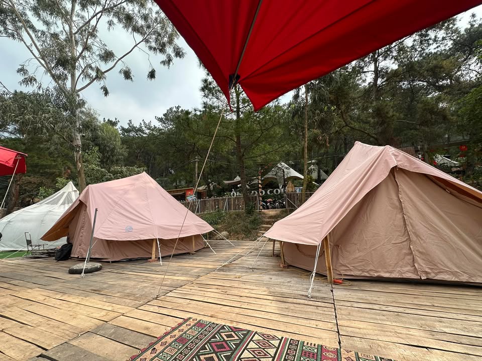 Căn hộ dịch vụ ngõ 354 Trường Chinh 43m² giá 17 triệu - Sẵn sàng cho thuê ngay!