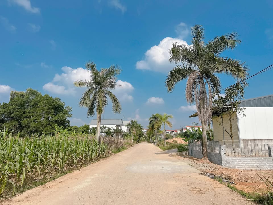 Bán lô đất Tiên Kiên - Lâm Thao 171m² giá 1 tỷ - Vị trí tiện lợi cho đầu tư!