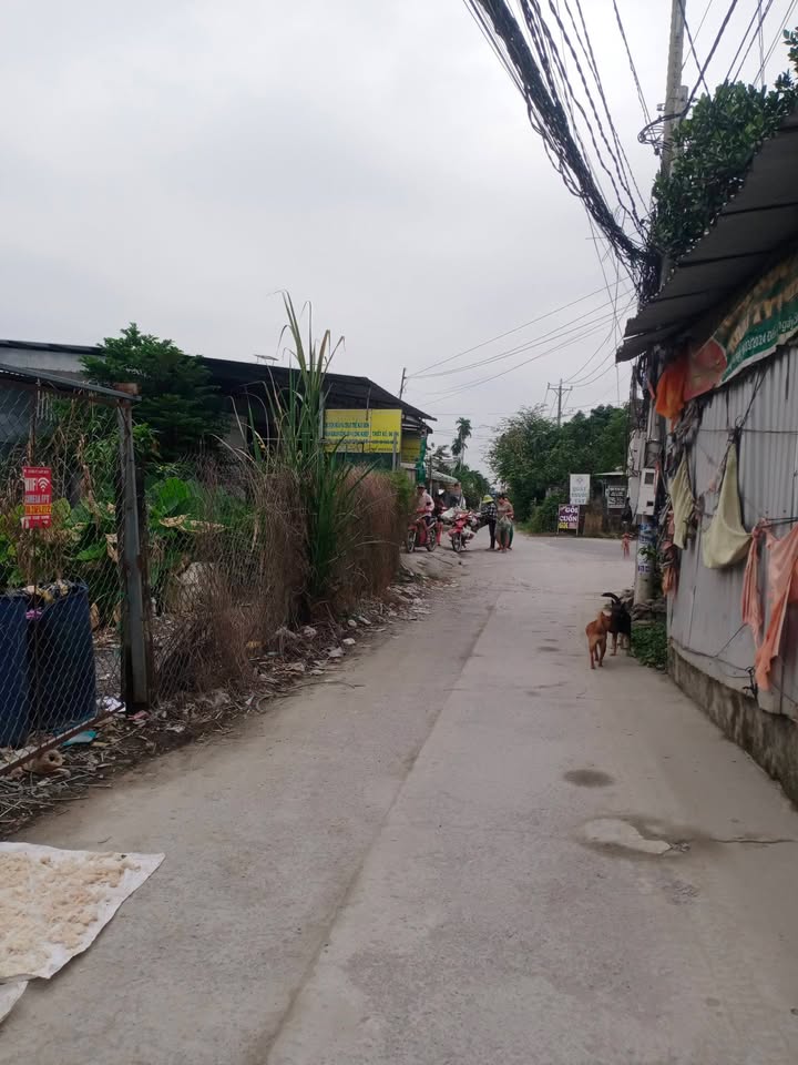 Đất thổ cư 165m² tại ấp 2, Đức Hòa, Long An - Giá 1.5 tỷ, Sổ đỏ chính chủ!