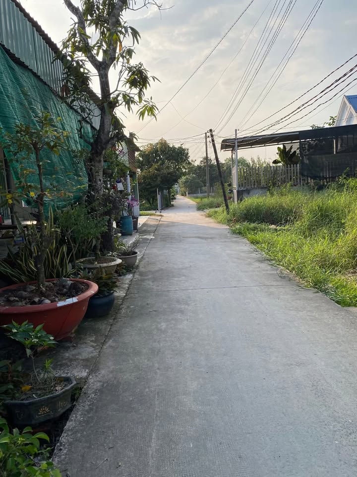 Đất thổ cư tại xã Mỹ Hạnh Nam, Đức Hòa 135m² giá 1.3 tỷ - Tiềm năng đầu tư hấp dẫn!