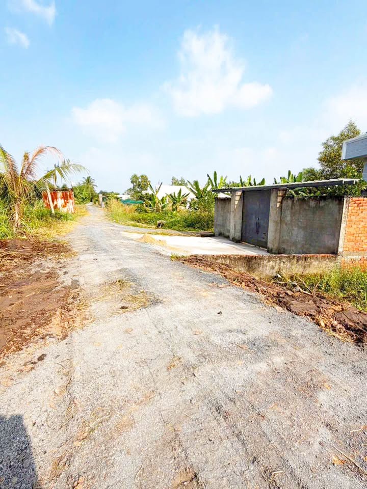 Đất vườn Thạnh Hòa, Bến Lức 500m² chỉ 590 triệu - Sổ hồng riêng, tiện ích đầy đủ!