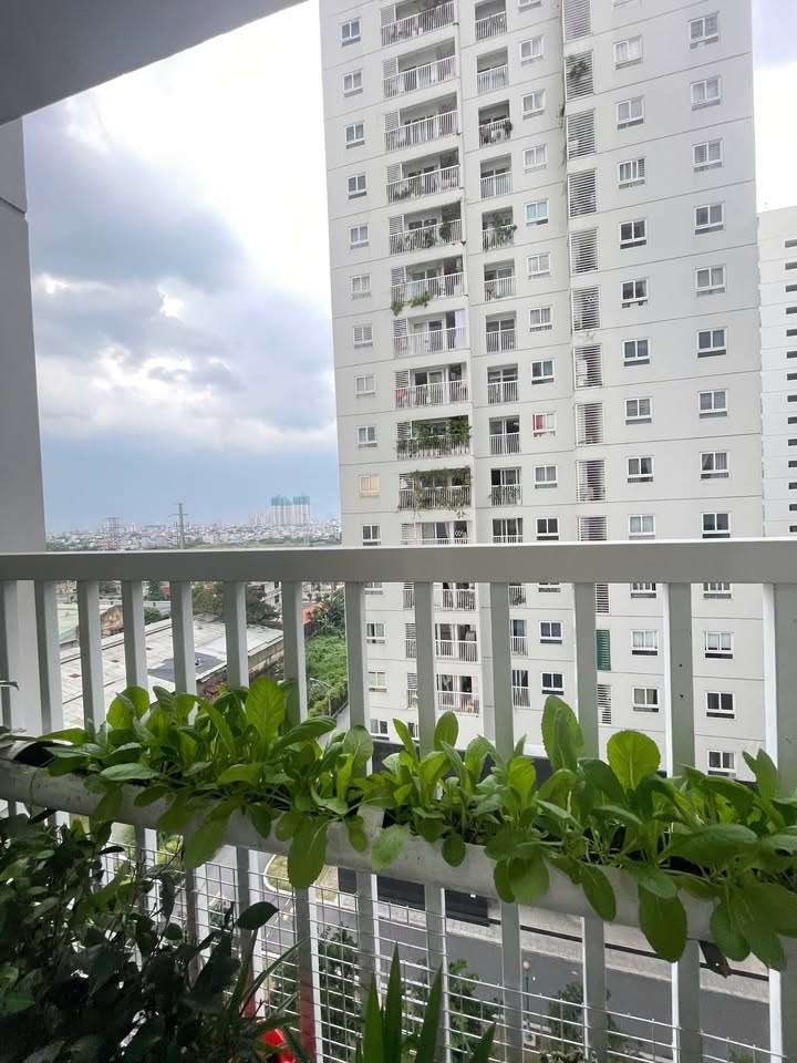 Chung cư Tara Residence Q8 80m² giá 4.4 tỷ - Sổ hồng chính chủ, view đẹp!