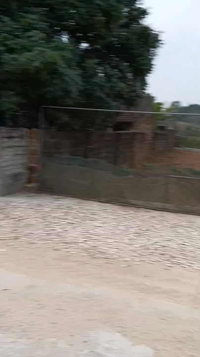 Đất thổ cư Thọ Ngọc, Triệu Sơn 155m² - Đường rộng ô tô vào thoải mái!