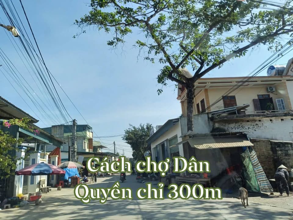 Đất nền thôn 3, xã Triệu Sơn, Thanh Hóa 300m² - Giá siêu rẻ, đầu tư sinh lời!